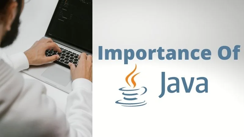What Is The Importance Of Java Programming Language?