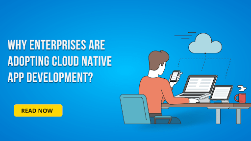 Why Enterprises are Adopting Cloud Native App Development